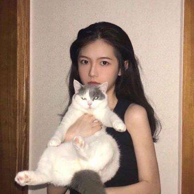 冒险梦工厂游戏